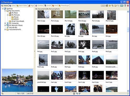 Он также действует как браузер, поддерживает файлы RAW, позволяет создавать слайд-шоу и создавать анимированные GIF-изображения, а также помогает делать отпечатки отдельных фотографий и отпечатки контактных листов