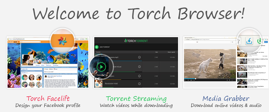 «Torch Browser» - это пышный веб-браузер, который убеждает практическими функциями и быстрой работой